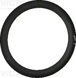 Уплотнительное кольцо Victor Reinz 407632510