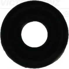 Уплотнительное кольцо Victor Reinz 407670200