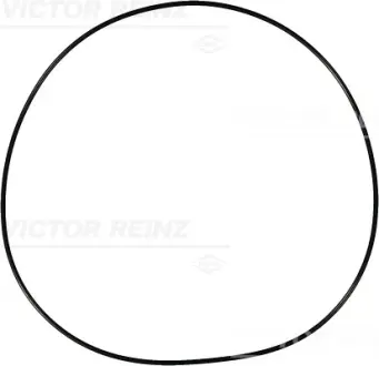 Уплотнительное кольцо victor reinz 407691500