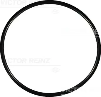 Уплотнительное кольцо victor reinz 40-76964-00