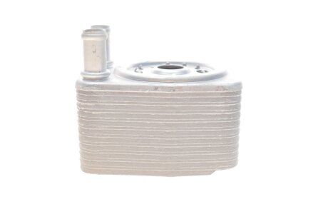 Радіатор оливний vika 11170067801