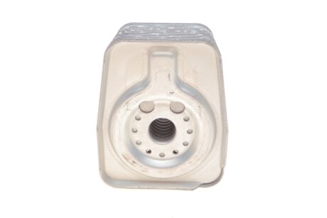 Радіатор оливний vika 11170067801