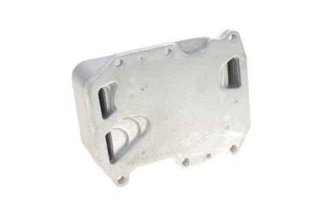 Оливний радіатор vika 11171701401