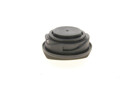 Маслозаливна кришка vika 11031823701