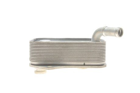 Радіатор оливний vika 11171413401