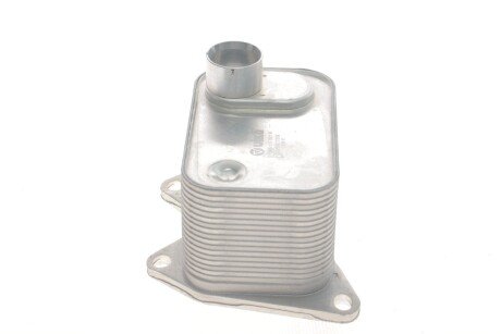 Радіатор оливний vika 11171700201