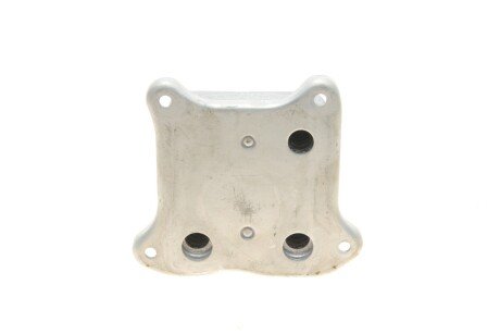 Радіатор оливний vika 31171239501