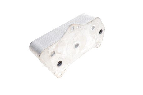 Радіатор оливний vika 34090831001