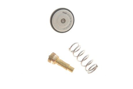 Термостат охолоджувальної рідини 87 °С vika 11210310801