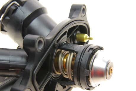 Термостат wahler 410389103D