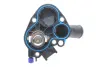 Термостат wahler 41102589D
