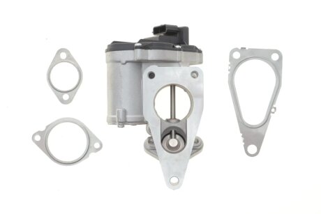 Клапан EGR wahler 712018D на Рено Сценик 2