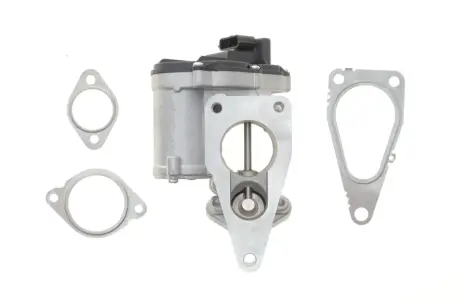 Клапан EGR Wahler 712018D