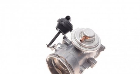 Клапан EGR VAG Touareg 2.5 R5 TDI 03- wahler 7650D