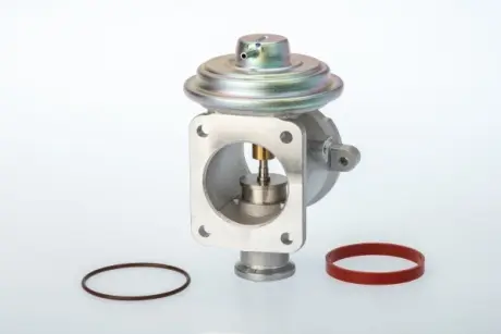Клапан EGR Wahler 710924D