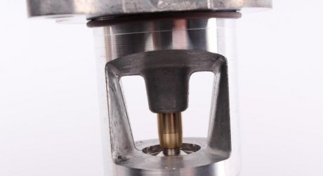 Клапан рециркуляції ВГ wahler 7527D