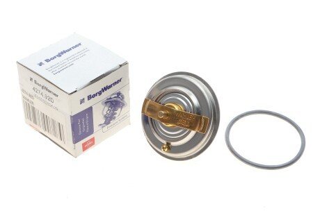 Термостат Audi wahler 427492D