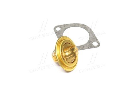 Термостат wahler 300492D1