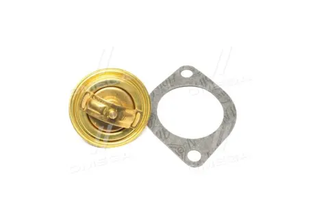 Термостат Wahler 300492D1
