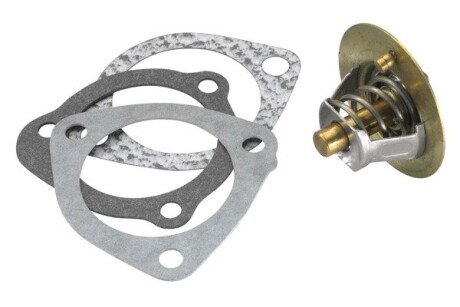 Термостат wahler 311882D1