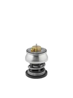 Термостат Wahler 412253.88D
