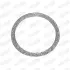 DB кільце глушника 55,3x64,3mm W203/210 S210 2,7CDI WALKER 80744 (фото 1)