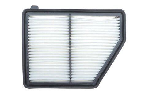 Фільтр повітряний HONDA CIVIC 2.0 16- USA (WIX-FILTERS) wixfiltron WA10416