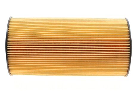 Фильтр масляный (смен.элем.) DAF (TRUCK) (WIX-) wixfiltron 92129E