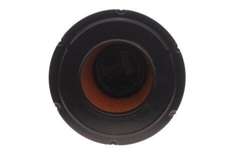 Фильтр воздушный (AM 447) wixfiltron 42394E