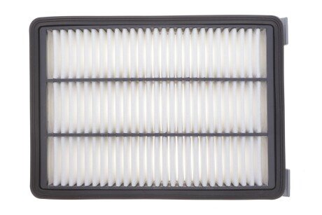 Повітряний фільтр wixfiltron WA9834