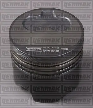 Поршневые кольца YENMAK 31-03302-000 (фото 1)