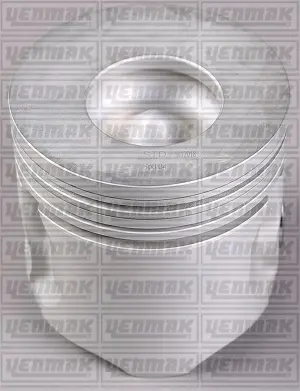 Поршневые кольца YENMAK 3103420000