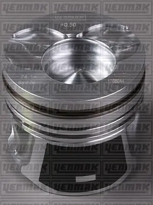 Поршневые кольца YENMAK 31-03460-000 (фото 1)