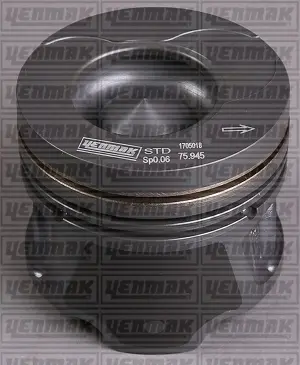 Поршневые кольца YENMAK 31-04175-000 (фото 1)