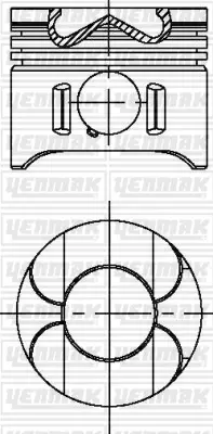 Поршневые кольца YENMAK 31-04697-000 (фото 1)