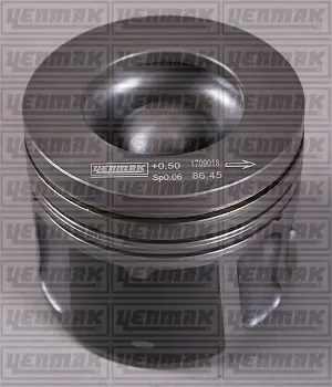 Поршневые кольца YENMAK 31-04949-050